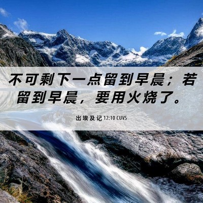 Picture 06 - 出 埃 及 记 12:10 CUVS - 不 可 剩 下 一 点 留 到 早 晨 ； 若 - Bible Verse Picture