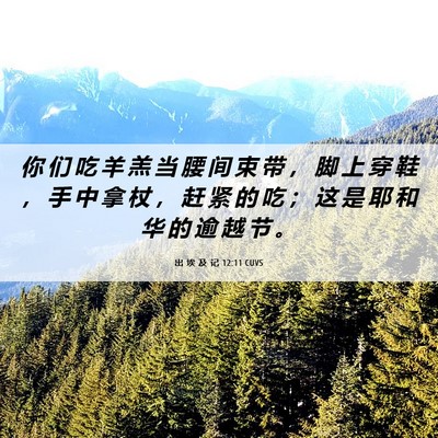 Picture 06 - 出 埃 及 记 12:11 CUVS - 你 们 吃 羊 羔 当 腰 间 束 带 ， 脚 - Bible Verse Picture