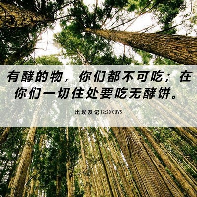 Picture 06 - 出 埃 及 记 12:20 CUVS - 有 酵 的 物 ， 你 们 都 不 可 吃 ； - Bible Verse Picture