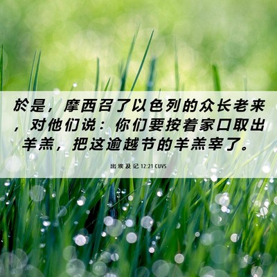 Picture 06 - 出 埃 及 记 12:21 CUVS - 於 是 ， 摩 西 召 了 以 色 列 的 众 - Bible Verse Picture