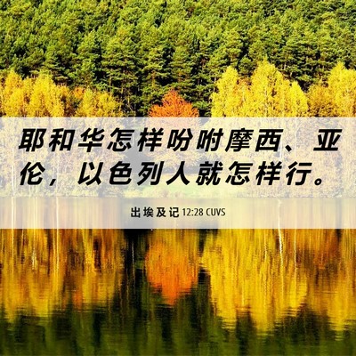 Picture 06 - 出 埃 及 记 12:28 CUVS - 耶 和 华 怎 样 吩 咐 摩 西 、 亚 伦 - Bible Verse Picture