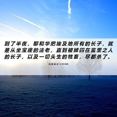 Picture 06 - 出 埃 及 记 12:29 CUVS - 到 了 半 夜 ， 耶 和 华 把 埃 及 地 - Bible Verse Picture