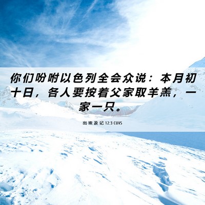 Picture 06 - 出 埃 及 记 12:3 CUVS - 你 们 吩 咐 以 色 列 全 会 众 说 ： - Bible Verse Picture