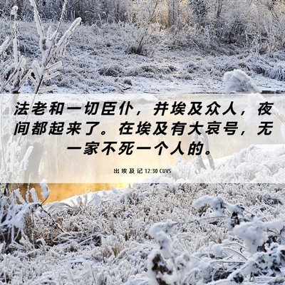 Picture 06 - 出 埃 及 记 12:30 CUVS - 法 老 和 一 切 臣 仆 ， 并 埃 及 众 - Bible Verse Picture