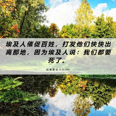 Picture 06 - 出 埃 及 记 12:33 CUVS - 埃 及 人 催 促 百 姓 ， 打 发 他 们 - Bible Verse Picture