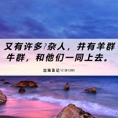 Picture 06 - 出 埃 及 记 12:38 CUVS - 又 有 许 多 ? 杂 人 ， 并 有 羊 群 牛 - Bible Verse Picture
