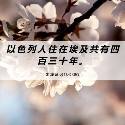 Picture 06 - 出 埃 及 记 12:40 CUVS - 以 色 列 人 住 在 埃 及 共 有 四 百 - Bible Verse Picture