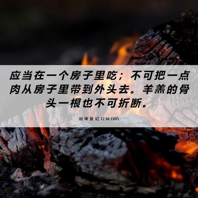 Picture 06 - 出 埃 及 记 12:46 CUVS - 应 当 在 一 个 房 子 里 吃 ； 不 可 - Bible Verse Picture