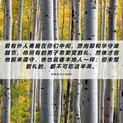 Picture 06 - 出 埃 及 记 12:48 CUVS - 若 有 外 人 寄 居 在 你 们 中 间 ， - Bible Verse Picture