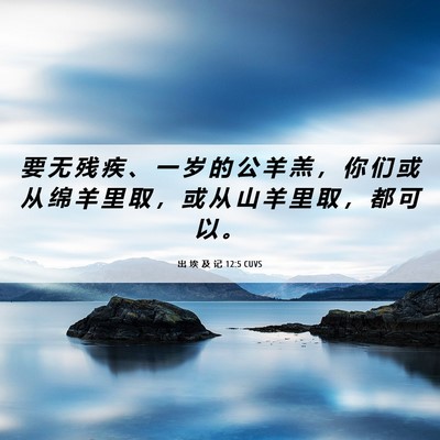 Picture 06 - 出 埃 及 记 12:5 CUVS - 要 无 残 疾 、 一 岁 的 公 羊 羔 ， - Bible Verse Picture