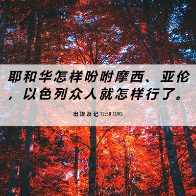Picture 06 - 出 埃 及 记 12:50 CUVS - 耶 和 华 怎 样 吩 咐 摩 西 、 亚 伦 - Bible Verse Picture