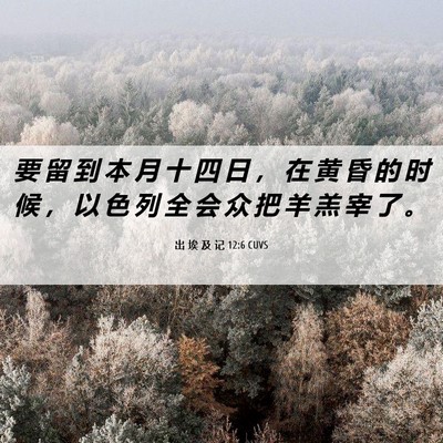 Picture 06 - 出 埃 及 记 12:6 CUVS - 要 留 到 本 月 十 四 日 ， 在 黄 昏 - Bible Verse Picture