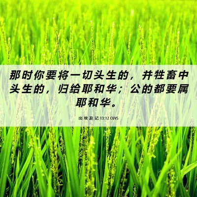 Picture 06 - 出 埃 及 记 13:12 CUVS - 那 时 你 要 将 一 切 头 生 的 ， 并 - Bible Verse Picture
