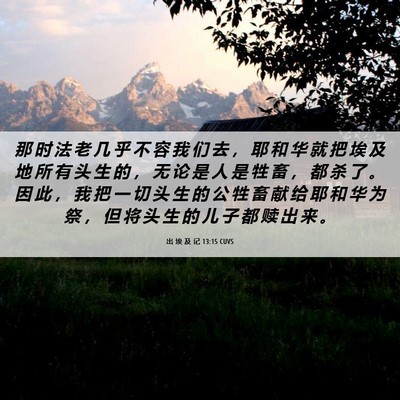 Picture 06 - 出 埃 及 记 13:15 CUVS - 那 时 法 老 几 乎 不 容 我 们 去 ， - Bible Verse Picture