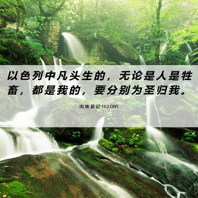 Picture 06 - 出 埃 及 记 13:2 CUVS - 以 色 列 中 凡 头 生 的 ， 无 论 是 - Bible Verse Picture