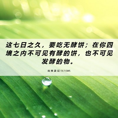 Picture 06 - 出 埃 及 记 13:7 CUVS - 这 七 日 之 久 ， 要 吃 无 酵 饼 ； - Bible Verse Picture