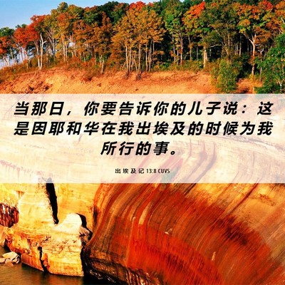 Picture 06 - 出 埃 及 记 13:8 CUVS - 当 那 日 ， 你 要 告 诉 你 的 儿 子 - Bible Verse Picture