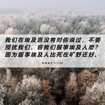 Picture 06 - 出 埃 及 记 14:12 CUVS - 我 们 在 埃 及 岂 没 有 对 你 说 过 - Bible Verse Picture