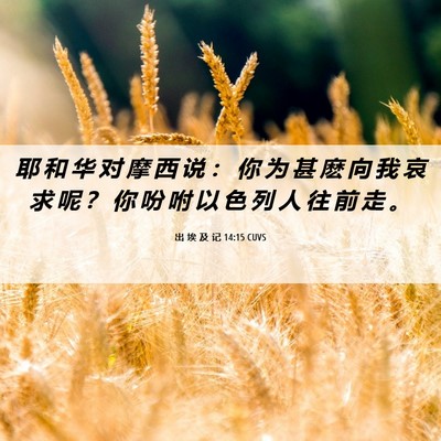 Picture 06 - 出 埃 及 记 14:15 CUVS - 耶 和 华 对 摩 西 说 ： 你 为 甚 麽 - Bible Verse Picture