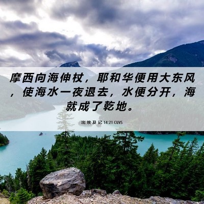 Picture 06 - 出 埃 及 记 14:21 CUVS - 摩 西 向 海 伸 杖 ， 耶 和 华 便 用 - Bible Verse Picture