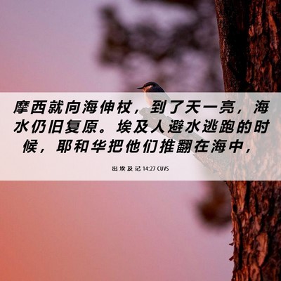 Picture 06 - 出 埃 及 记 14:27 CUVS - 摩 西 就 向 海 伸 杖 ， 到 了 天 一 - Bible Verse Picture