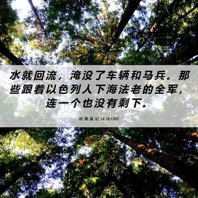 Picture 06 - 出 埃 及 记 14:28 CUVS - 水 就 回 流 ， 淹 没 了 车 辆 和 马 - Bible Verse Picture