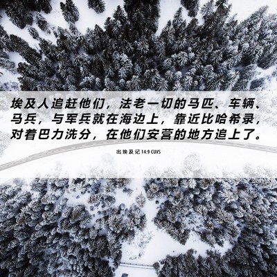 Picture 06 - 出 埃 及 记 14:9 CUVS - 埃 及 人 追 赶 他 们 ， 法 老 一 切 - Bible Verse Picture