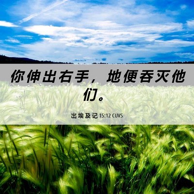 Picture 06 - 出 埃 及 记 15:12 CUVS - 你 伸 出 右 手 ， 地 便 吞 灭 他 们 - Bible Verse Picture