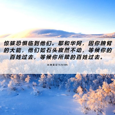 Picture 06 - 出 埃 及 记 15:16 CUVS - 惊 骇 恐 惧 临 到 他 们 。 耶 和 华 - Bible Verse Picture