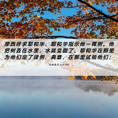Picture 06 - 出 埃 及 记 15:25 CUVS - 摩 西 呼 求 耶 和 华 ， 耶 和 华 指 - Bible Verse Picture