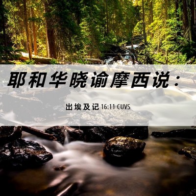 Picture 06 - 出 埃 及 记 16:11 CUVS - 耶 和 华 晓 谕 摩 西 说 - Bible Verse Picture