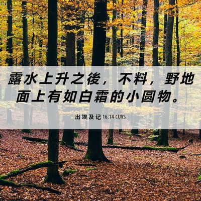 Picture 06 - 出 埃 及 记 16:14 CUVS - 露 水 上 升 之 後 ， 不 料 ， 野 地 - Bible Verse Picture