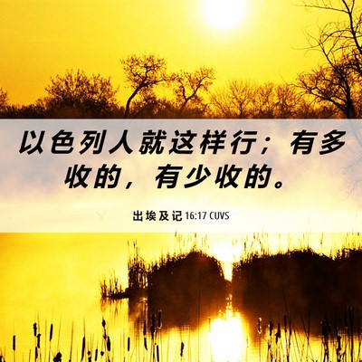 Picture 06 - 出 埃 及 记 16:17 CUVS - 以 色 列 人 就 这 样 行 ； 有 多 收 - Bible Verse Picture