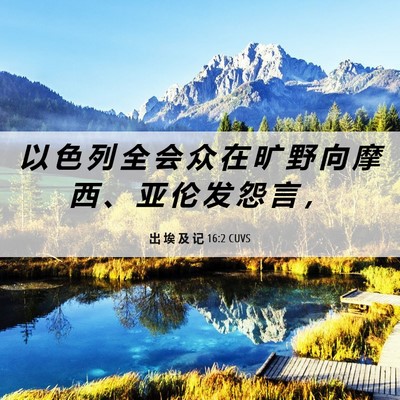 Picture 06 - 出 埃 及 记 16:2 CUVS - 以 色 列 全 会 众 在 旷 野 向 摩 西 - Bible Verse Picture