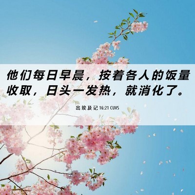 Picture 06 - 出 埃 及 记 16:21 CUVS - 他 们 每 日 早 晨 ， 按 着 各 人 的 - Bible Verse Picture