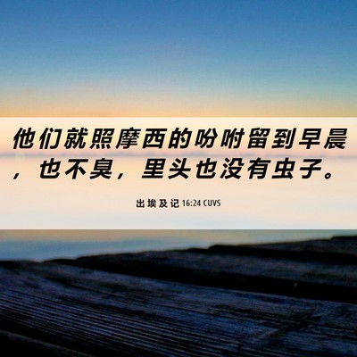 Picture 06 - 出 埃 及 记 16:24 CUVS - 他 们 就 照 摩 西 的 吩 咐 留 到 早 - Bible Verse Picture