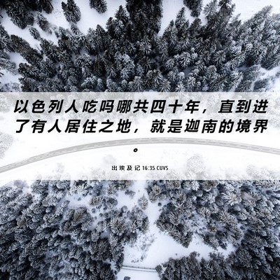 Picture 06 - 出 埃 及 记 16:35 CUVS - 以 色 列 人 吃 吗 哪 共 四 十 年 ， - Bible Verse Picture