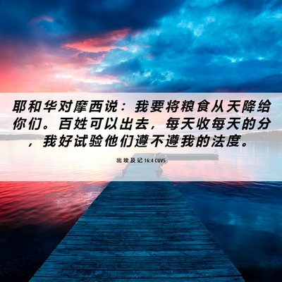 Picture 06 - 出 埃 及 记 16:4 CUVS - 耶 和 华 对 摩 西 说 ： 我 要 将 粮 - Bible Verse Picture