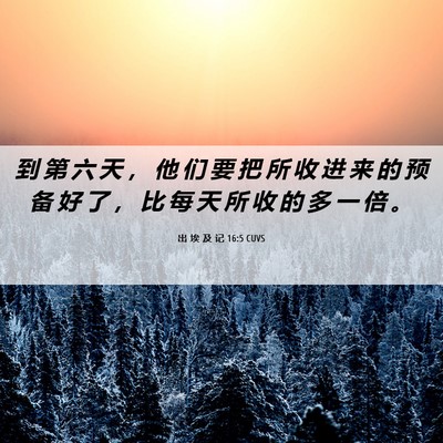 Picture 06 - 出 埃 及 记 16:5 CUVS - 到 第 六 天 ， 他 们 要 把 所 收 进 - Bible Verse Picture