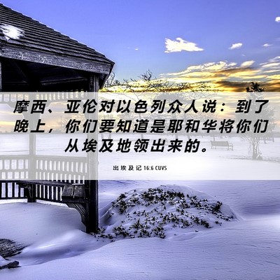 Picture 06 - 出 埃 及 记 16:6 CUVS - 摩 西 、 亚 伦 对 以 色 列 众 人 说 - Bible Verse Picture