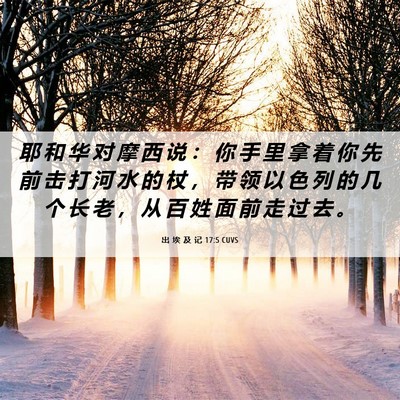 Picture 06 - 出 埃 及 记 17:5 CUVS - 耶 和 华 对 摩 西 说 ： 你 手 里 拿 - Bible Verse Picture