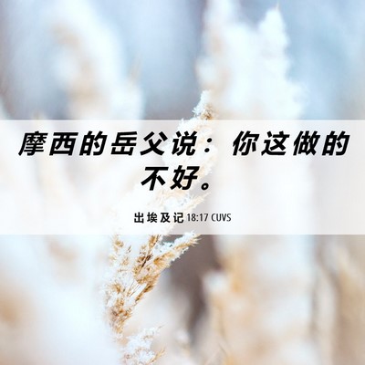 Picture 06 - 出 埃 及 记 18:17 CUVS - 摩 西 的 岳 父 说 ： 你 这 做 的 不 - Bible Verse Picture