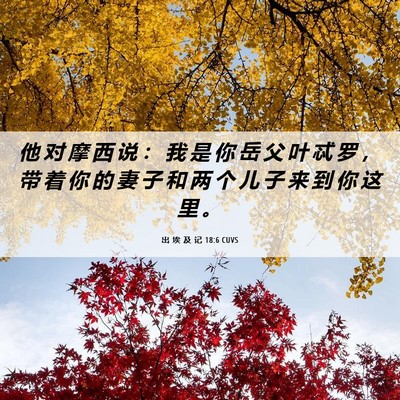 Picture 06 - 出 埃 及 记 18:6 CUVS - 他 对 摩 西 说 ： 我 是 你 岳 父 叶 - Bible Verse Picture