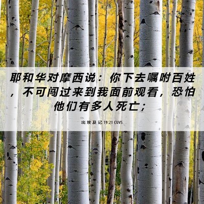 Picture 06 - 出 埃 及 记 19:21 CUVS - 耶 和 华 对 摩 西 说 ： 你 下 去 嘱 - Bible Verse Picture