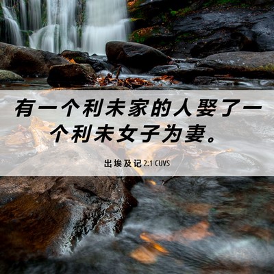 Picture 06 - 出 埃 及 记 2:1 CUVS - 有 一 个 利 未 家 的 人 娶 了 一 个 - Bible Verse Picture