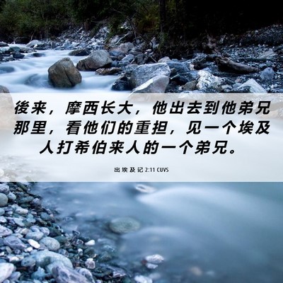 Picture 06 - 出 埃 及 记 2:11 CUVS - 後 来 ， 摩 西 长 大 ， 他 出 去 到 - Bible Verse Picture