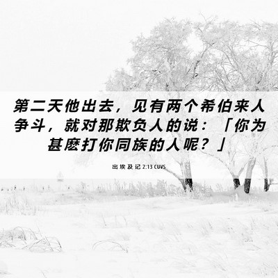 Picture 06 - 出 埃 及 记 2:13 CUVS - 第 二 天 他 出 去 ， 见 有 两 个 希 - Bible Verse Picture