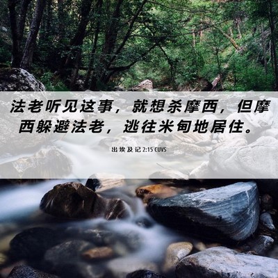 Picture 06 - 出 埃 及 记 2:15 CUVS - 法 老 听 见 这 事 ， 就 想 杀 摩 西 - Bible Verse Picture