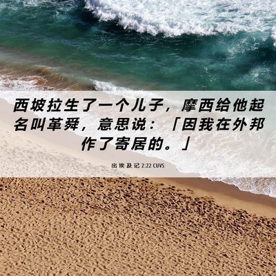 Picture 06 - 出 埃 及 记 2:22 CUVS - 西 坡 拉 生 了 一 个 儿 子 ， 摩 西 - Bible Verse Picture