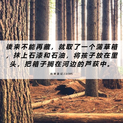 Picture 06 - 出 埃 及 记 2:3 CUVS - 後 来 不 能 再 藏 ， 就 取 了 一 个 - Bible Verse Picture
